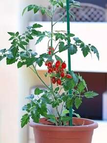20-50pcs Waterproof Green Plant Support Poles, Indoor And Outdoor Tomato Plant Support Rods, Weather Resistant, Durable Use