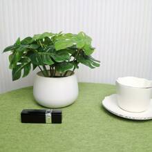 1pc Artificial Turtle Back Leaf Potted Plant, 6 Inch Fake Turtle Back Leaf In White Planter, Suitable For Decoration On Desks, Homes, Office Shelves, Beautiful Accent For Life!