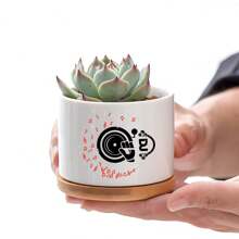 1pc DJ Ceramic Planter With Bamboo Tray (3.6"X2.6"), Succulent Planter, DJ Theme: Vinyl Record Turning, Musical Notes Flying, Headphones Playing Music, Planter Gift, Yard Decor, Desktop Decor