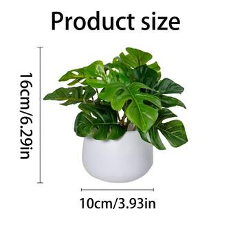 1pc Artificial Turtle Back Leaf Potted Plant, 6 Inch Fake Turtle Back Leaf In White Planter, Suitable For Decoration On Desks, Homes, Office Shelves, Beautiful Accent For Life!