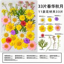 35pcs Dried Pressed Flowers For Resin Molds, Real Pressed Flowers Dry Leaves Kit For Art Crafts Resin Jewelry Making Scrapbook Supplies Card Making Soap Candle DIY Nails Decor| Valentine Day's Gift| Couple Gift| Christmas Gift Xmas Gift| Halloween Gift Decor