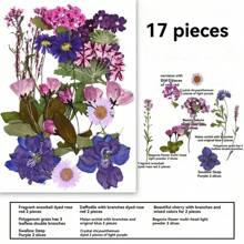 35pcs Dried Pressed Flowers For Resin Molds, Real Pressed Flowers Dry Leaves Kit For Art Crafts Resin Jewelry Making Scrapbook Supplies Card Making Soap Candle DIY Nails Decor| Valentine Day's Gift| Couple Gift| Christmas Gift Xmas Gift| Halloween Gift Decor