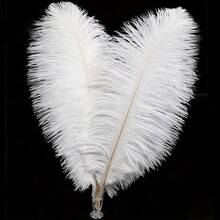 White Faux Feathers - 10 Pcs, Imitation Ostrich Feathers, 8-10 Inches, Suitable For Party Centerpieces, Home Decor And DIY Handmade Craft Accessories Accessories - Multicolor - View 5