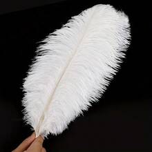 White Faux Feathers - 10 Pcs, Imitation Ostrich Feathers, 8-10 Inches, Suitable For Party Centerpieces, Home Decor And DIY Handmade Craft Accessories Accessories - Multicolor - View 6