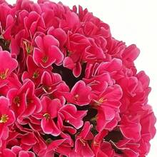 1pc 85cm Artificial Hanging Flower Decor, Decorative Lifelike Violet Evergreen Vine For Outdoor Home Wedding Garden Hanging Basket, Suitable For Halloween And Christmas