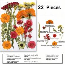 35pcs Dried Pressed Flowers For Resin Molds, Real Pressed Flowers Dry Leaves Kit For Art Crafts Resin Jewelry Making Scrapbook Supplies Card Making Soap Candle DIY Nails Decor| Valentine Day's Gift| Couple Gift| Christmas Gift Xmas Gift| Halloween Gift Decor