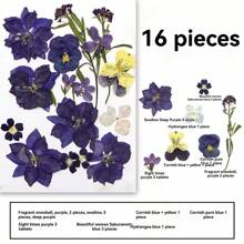 35pcs Dried Pressed Flowers For Resin Molds, Real Pressed Flowers Dry Leaves Kit For Art Crafts Resin Jewelry Making Scrapbook Supplies Card Making Soap Candle DIY Nails Decor| Valentine Day's Gift| Couple Gift| Christmas Gift Xmas Gift| Halloween Gift Decor
