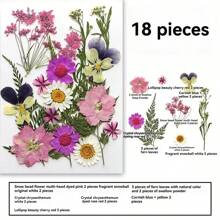 35pcs Dried Pressed Flowers For Resin Molds, Real Pressed Flowers Dry Leaves Kit For Art Crafts Resin Jewelry Making Scrapbook Supplies Card Making Soap Candle DIY Nails Decor| Valentine Day's Gift| Couple Gift| Christmas Gift Xmas Gift| Halloween Gift Decor
