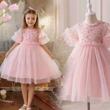 Girls Summer Dresses Pink Princess Style Embroidered Tulle Ruffled Sleeve Birthday Vacation Dresses