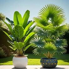 2pcs Giant Artificial Palm Tree And Banana Tree, Vibrant Tropical Plants With Green Leaves, Suitable For Home, Office, Hotel, Garden, Patio, Wedding, Festival Decoration, Indoor/Outdoor Use, Free Standing Floor, Multipurpose Room Decor, Artificial Palm Tree, Tropical Home Decoration