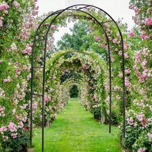 Heavy Duty Metal Garden Arch Rose Archway Pergola Arbour Climbing Plants Trellis Summer Birthday Gifts Wedding Beach Back To School School Supplies Room Decor - 1 - View 2