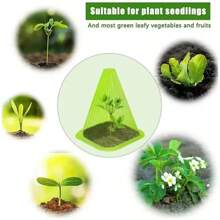 DIY Plant Growth Watch Cover Reusable Planting Tent Garden Yard Seedling Plastic Bell Box Plant Shield From Birds Frosted Snails