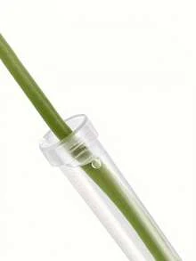 5/10/20个装鲜花水管塑料花水管带盖花瓶装饰插花礼物生日毕业