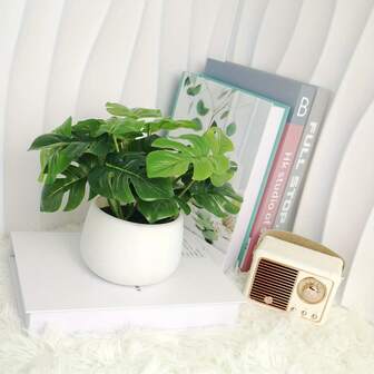 1pc Artificial Turtle Back Leaf Potted Plant, 6 Inch Fake Turtle Back Leaf In White Planter, Suitable For Decoration On Desks, Homes, Office Shelves, Beautiful Accent For Life!