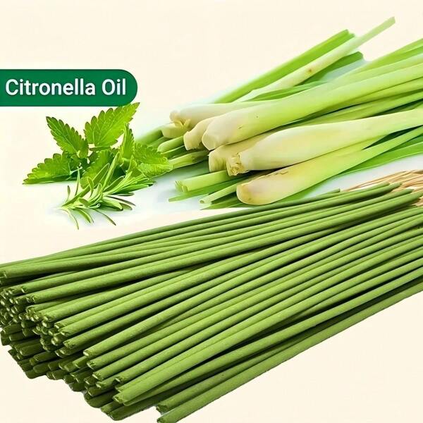 25/49/119/169pcs Handmade Bamboo Citronella, Lemongrass & Scallion Incense Sticks - Long-Lasting Fragrance, Safe & Non-Irritating, Perfect For Fishing, Patio, Porch, Camping, Travel - No Feathers, Yoga & Meditation Indoor/Outdoor, Holiday Gift