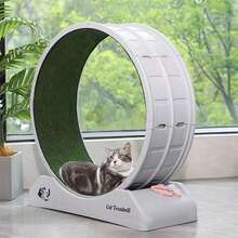 Indoor Cat Exercise Wheel With Locking Brake, 31.5 Inch Exercise Wheel With Carpeted, Cat Treadmill For Indoor Cats Sport Runway Fitness Weight Control - Grey - View 1