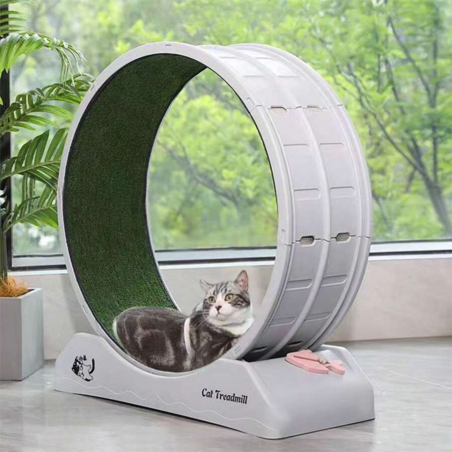 Indoor Cat Exercise Wheel With Locking Brake, 31.5 Inch Exercise Wheel With Carpeted, Cat Treadmill For Indoor Cats Sport Runway Fitness Weight Control - Grey - View 1