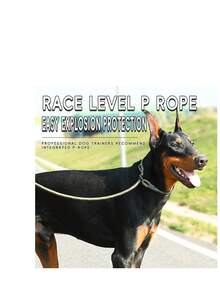 专业遛狗牵引绳、宠物防拉链绳、训练项圈项链配件 - 灰色 - 查看 1