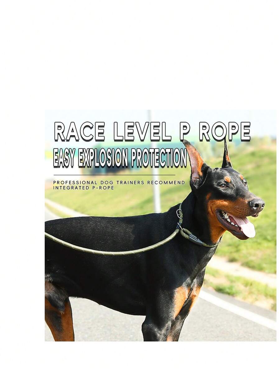 专业遛狗牵引绳、宠物防拉链绳、训练项圈项链配件 - 灰色 - 查看 1