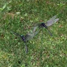4pcs Realistic Dragonfly Garden Stakes, Outdoor Waterproof Black Dragonfly Yard/Lawn Decor, Indoor Vase Decoration