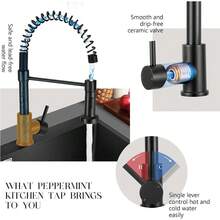 Black Kitchen Taps With Pull Out Spray Spring Kitchen Sink Taps Single Lever Kitchen Sink Mixer Tap With Pull Down Sprayer Dual Functions - 黑色 - 查看 10