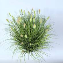 6 Bunches Of Realistic Artificial Onion Grass Tassels, Plastic Fake Ground Plants, Suitable For Outdoor Yard, Hotel, Garden Decor, Window Frame Decor, Indoor & Outdoor Home Decor, Applicable For Spring/Summer, Anniversary, Easter, Mother's Day, Wedding, Gifting - Planter Not Included