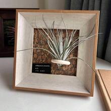 1pc Vintage Wooden Decorative Photo Frame, Wall Hanging Photo Frame, Plant Hanging Bracket, Desktop Photo Frame Ornament, Home Decoration (Excluding Plants And Cards In Pictures) - 1Pcs - View 19