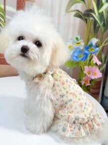 1pc Soft Dog & Cat Princess Dress, Fashion Pet Apparel, Cute Teddy Bear Outfit For Small Dogs, Lightweight Tank Dress For Pet, Suitable For Autumn/Winter & Spring/Summer