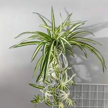 2 Piezas Helecho colgante artificial - Verde frondoso con flores blancas, ideal para decoración del hogar, oficina y boda | Maceta no incluida, decoración de plantas de interior | Helecho artificial | Material de plástico