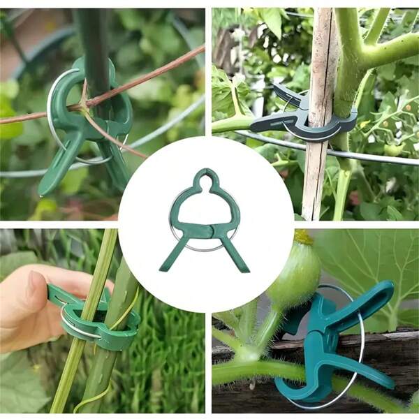 30/10pcs Adjustable Plant Clips - Reusable Flower, Vine, Vegetable And Tomato Garden Supports - Durable Plastic, Essential Gardening Tools