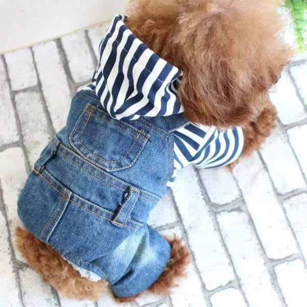 Pet Clothes Striped Denim Overalls 4-Leg