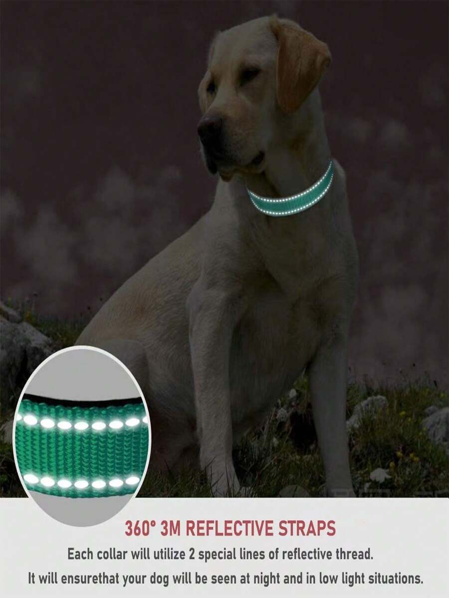 Adjustable Reflective Pet Collar, Prevents Dogs From Breaking Free, Glow In The Dark - Multicolor - View 1