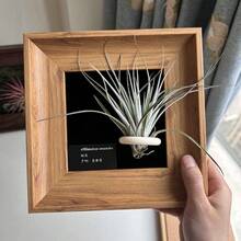 1pc Vintage Wooden Decorative Photo Frame, Wall Hanging Photo Frame, Plant Hanging Bracket, Desktop Photo Frame Ornament, Home Decoration (Excluding Plants And Cards In Pictures) - 1Pcs - View 16