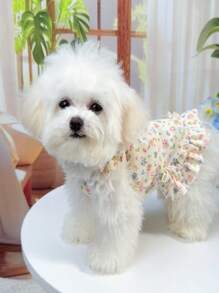 1pc Soft Dog & Cat Princess Dress, Fashion Pet Apparel, Cute Teddy Bear Outfit For Small Dogs, Lightweight Tank Dress For Pet, Suitable For Autumn/Winter & Spring/Summer