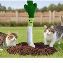 1 Cat Toy With Mint And Scallion Shapes, Interactive Toys For Cats And Pets, Grinding Teeth, Intellectual Gnawing, And Biting