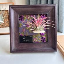 1pc Vintage Wooden Decorative Photo Frame, Wall Hanging Photo Frame, Plant Hanging Bracket, Desktop Photo Frame Ornament, Home Decoration (Excluding Plants And Cards In Pictures) - 1Pcs - View 8