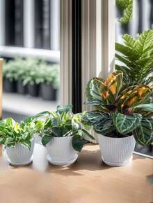 1pc Plastic Flower Pot With Tray, 3 Different Sizes Modern Decorative Plant Pot For Indoor Gardening - White - View 3