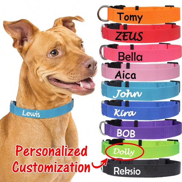 Coleira clássica para cães, fivela de plástico, coleira para cães pequenos, acessórios personalizados para animais de estimação com nome e telefone, suprimentos personalizados para animais de estimação, adequados para cães pequenos, médios e grandes, ornamentais, gravados, elegantes, modernos, coloridos, vintage, fofos, contraídos, fofinhos, personalizados, únicos, personalizados, animais de estimação personalizados para aniversários, para aniversários