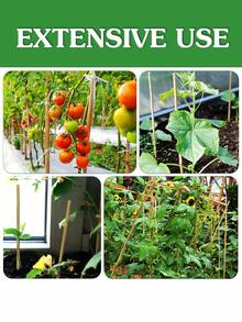 20pcs Natural Bamboo Plant Support Stakes, Sturdy Bamboo Garden Support Poles, Bamboo Trellis For Climbing Plants, Suitable For Tomatoes, Vegetables And Beans, Indoor And Outdoor Plant Climbing Support, Such As Tomato And Bean Potted Plants - Brown - View 4