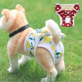 Washable Female Dog Diapers For S-XL Sizes | Reusable Physiological Panties With Leak-Proof Design | Breathable Pet Diaper Shorts For Dogs & Cats | Perfect For Heat Cycles & Incontinence