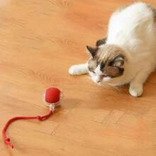 Pelota interactiva para mascotas Universal para perros y gatos, pelota de masticación automática con virus para gatos y perros, pelota eléctrica recargable para gatos (Rojo) - Rojo - Ver 3