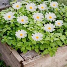 10 Stück Outdoor Garten & Hoffmann Dekorationen PVC Simulation Gänseblümchen Stange Blume Große Größe, Herbstdekoration
