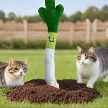 1 Cat Toy With Mint And Scallion Shapes, Interactive Toys For Cats And Pets, Grinding Teeth, Intellectual Gnawing, And Biting