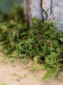 Artificial Moss Fake Moss Fresh Green For Crafts Decorative Centerpieces Fairy Garden Wedding Party Decor Bowl Vase Filler Faux Potted Plants Home Kitchen Garden Decor