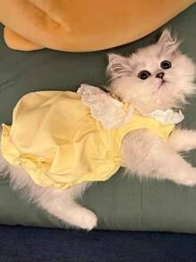 Cute Cat & Dog Dress, Princess Style, Lightweight Summer Dress For Kitten/Puppy, Adorable Floral Lace Dog Clothes, Soft & Breathable, Suitable For Daily Wear, Travel, Photos, Pet Gift