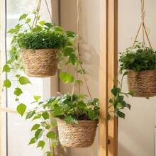 家居与园艺 藤编/草编吊篮、立式花盆、常春藤盆、壁挂花篮 - 彩色 - 查看 1