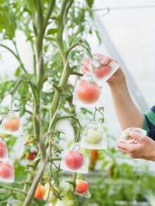 50Pcs/100Pcs Reusable Plant Planting Protection Bags,Fruit & Vegetable Protective Bags With Drawstring Mesh Covers Orchard Net Bags For Grapes, Apples,Grapefruit,And More,Ideal Gardening Insect Shield,Garden Insect Proof Cover,Insect And Bird Barrier - Multicolor - View 5