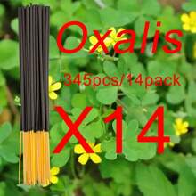 22 cm/8,66 cala Czyste bambusowe kadzidełka, niski popiół, 24 szt./opakowanie, 12 różnych zapachów, odpowiednie do domu, hotelu, pokoju, długotrwały zapach eliminujący nieprzyjemny zapach i oczyszczający powietrze