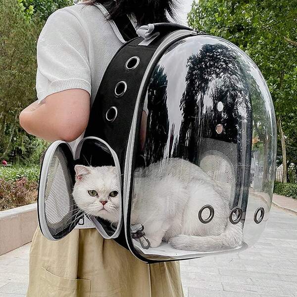 Haustiertasche, atmungsaktive Kapseltasche für Katzen, 45 x 35 x 25 cm. Transportrucksack für Katzenkäfige, tragbare und atmungsaktive Reisetasche für Haustiere, sechs Farben erhältlich (Schwarz, Rosa, Grau, Grün, Blau)