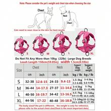 No Pull Dog Harness And Leash Set Adjustable Pet Harness Vest For Small Dogs Cats Reflective Mesh Dog Chest Strap French Small Bulldog Rose Red